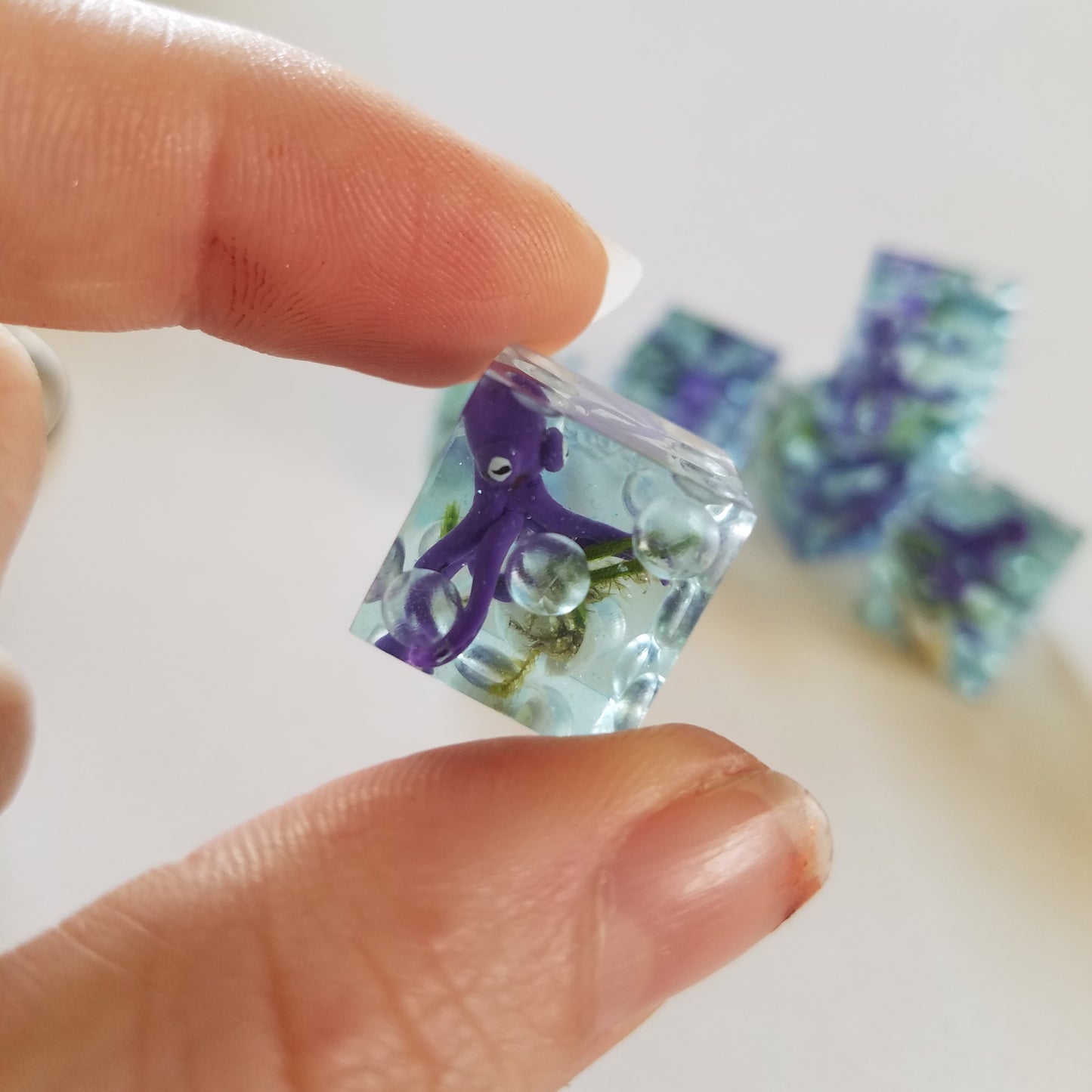 Custom Six Sided Dice