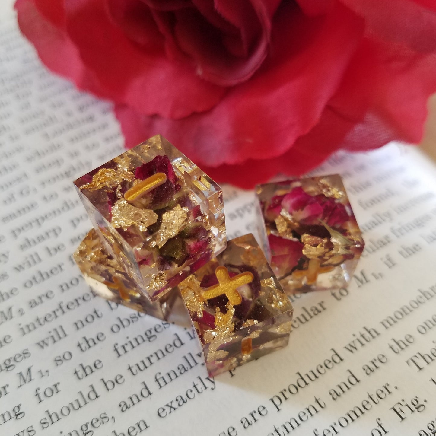 Custom Fate/Fudge Dice