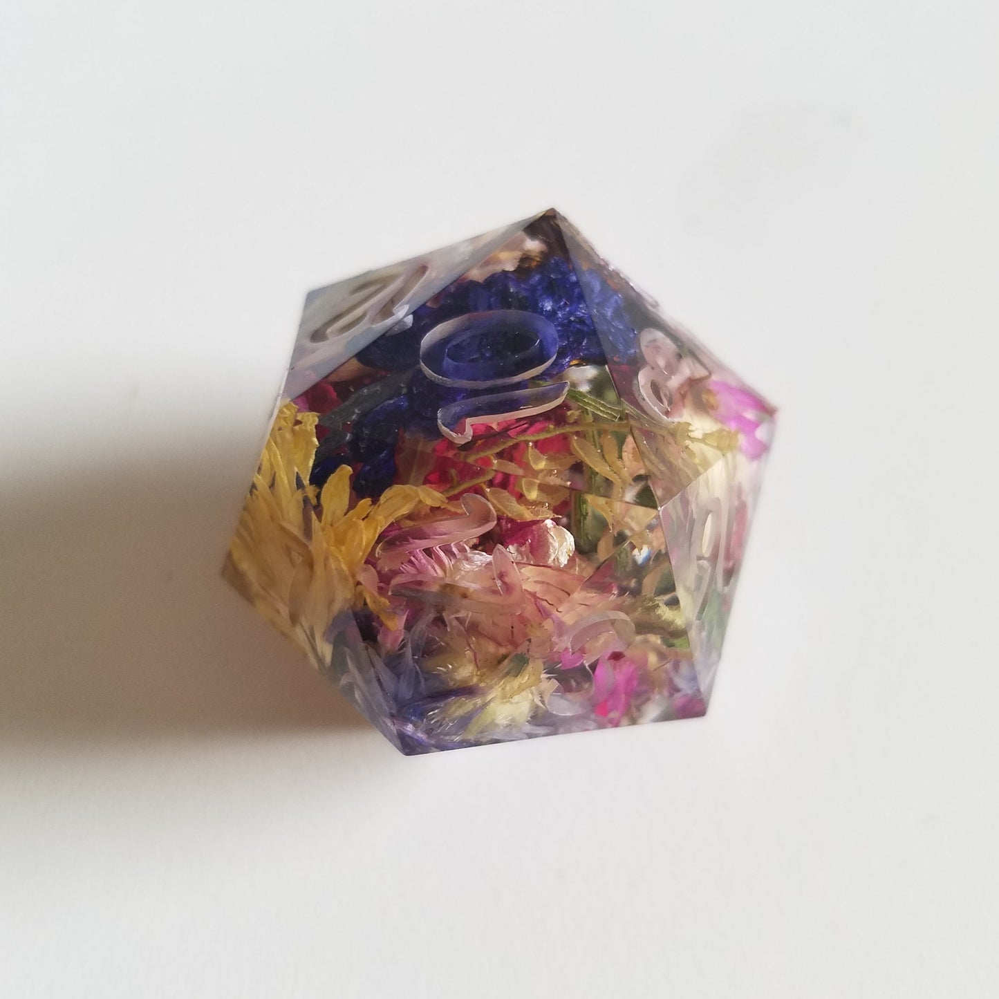 Custom Single Jumbo d20