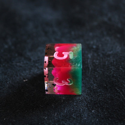 Handmade Watermelon Dice