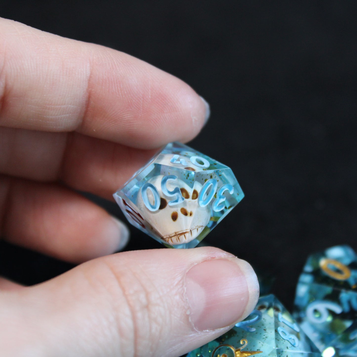 Handmade Pirate's Bounty Dice