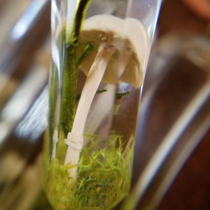 Mushroom Terrarium Necklace