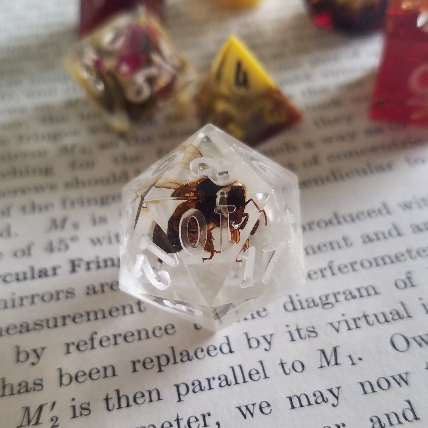 Custom Single d20